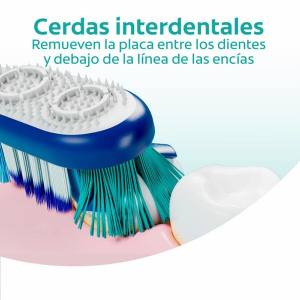 Cepillo Dental 360 Cerdas Medianas COLGATE X 5 Uds - Imagen 5