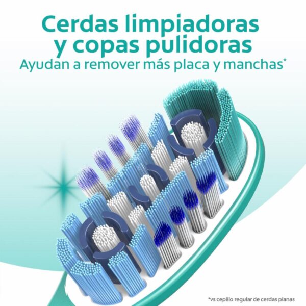 Cepillo Dental 360 Cerdas Medianas COLGATE X 5 Uds - Imagen 6