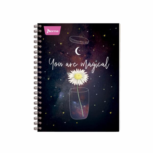 Cuaderno Junior Argollado 4 Línea NORMA 60 Hojas