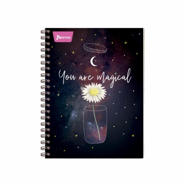 Cuaderno Junior Argollado 4 Línea NORMA 60 Hojas