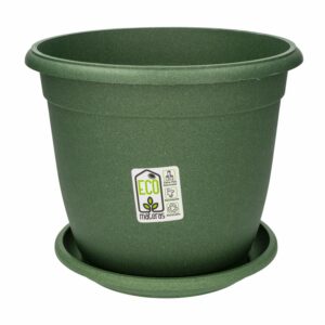Matera Génova Con Plato Verde FERCON Unidad