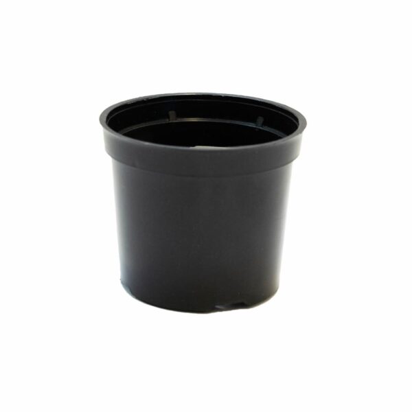 Maceta Diseño Vivero 8Cms Color Negro FERCON Unidad
