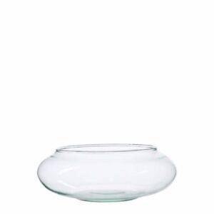 Acuario Palma Numero 3 Transparente OTÚN Unidad