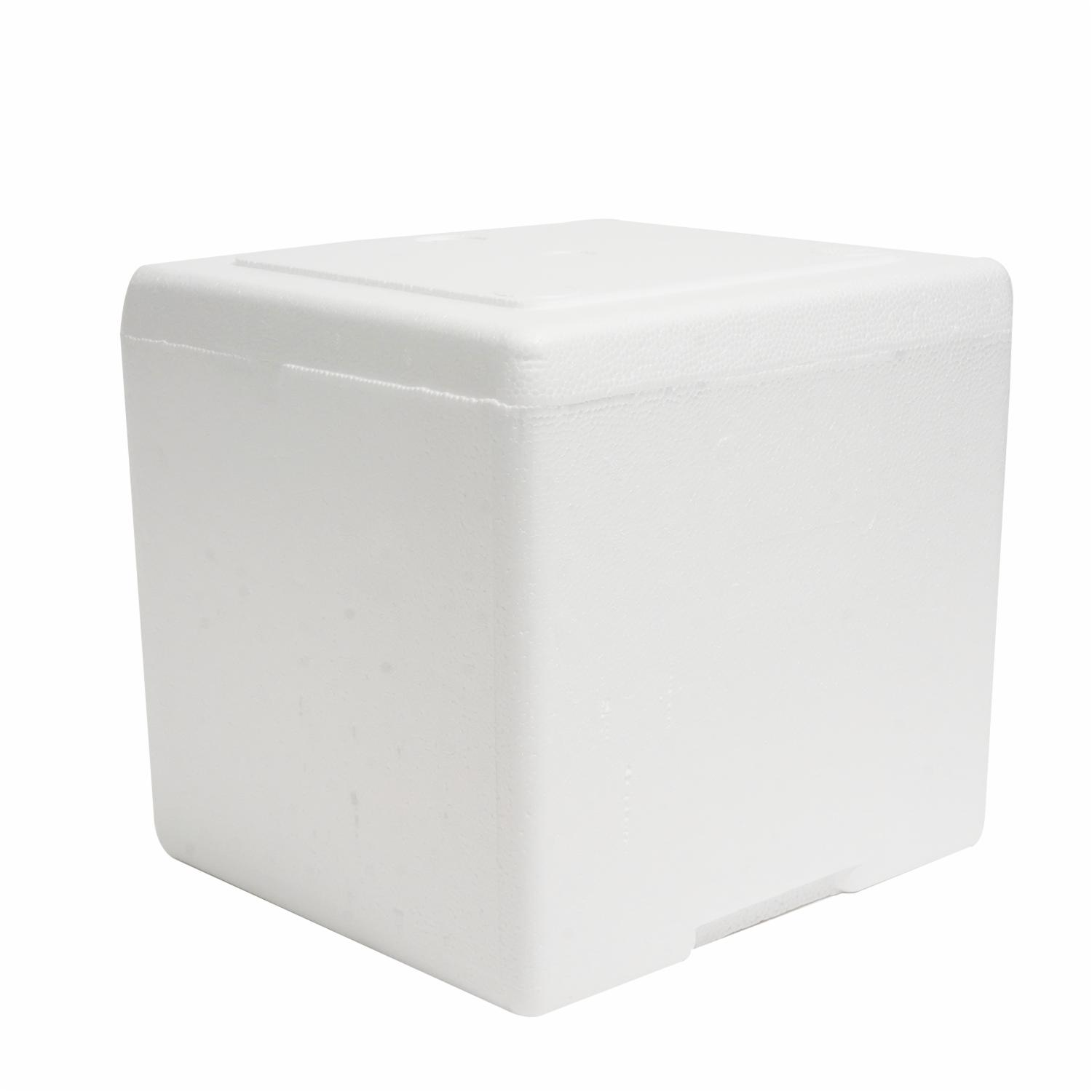 Hielera Térmica Con Tapa PLASTEX 9 Litros