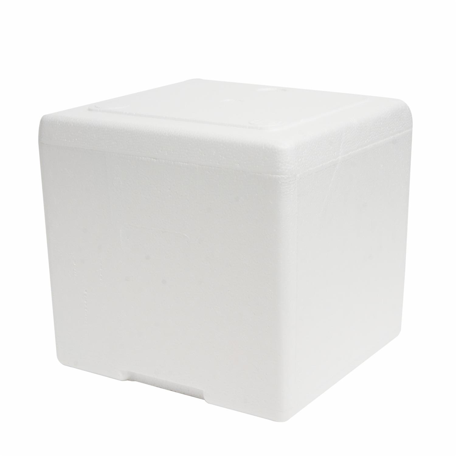 Hielera Térmica Con Tapa PLASTEX 9 Litros