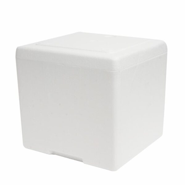 Hielera Térmica Con Tapa PLASTEX 9 Litros - Imagen 2