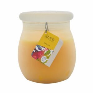 Vela Vaso Bombonera Gj11 Maracuya LAVEL 11,5 X 9,5 CM