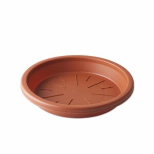 Macetero De Jazmín Base Mediana Terracota CASA PICA Unidad
