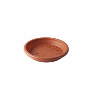 Macetero De Jazmín Base Mediana Terracota CASA PICA Unidad