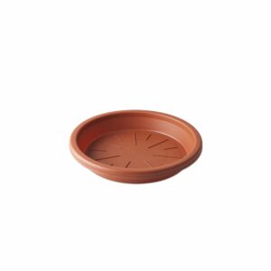 Macetero De Jazmín Base Mediana Terracota CASA PICA Unidad