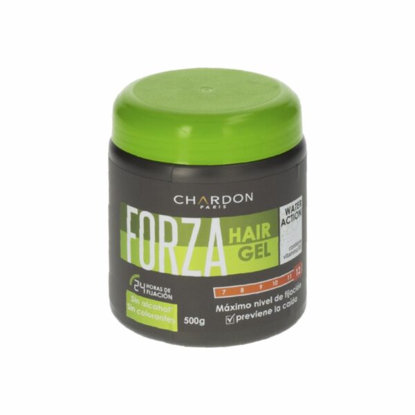 Gel De Cabello Máximo Nivel De Fijación RENE CHARDON 500 G