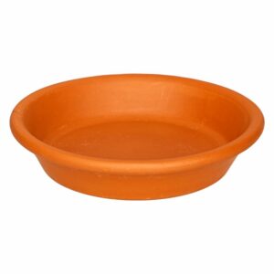 Plato De Terracota MESTIZA N° 125