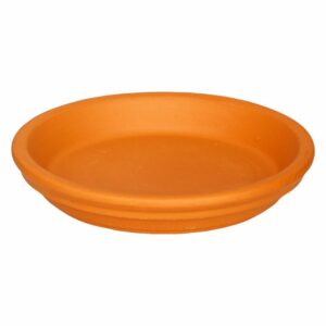 Plato De Terracota MESTIZA N° 165