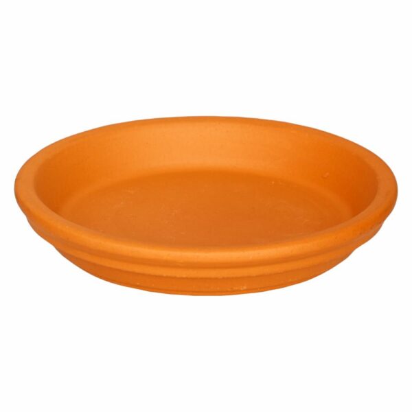 Plato De Terracota MESTIZA N° 165