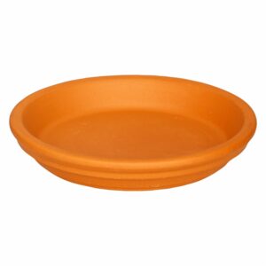 Plato De Terracota MESTIZA N° 165