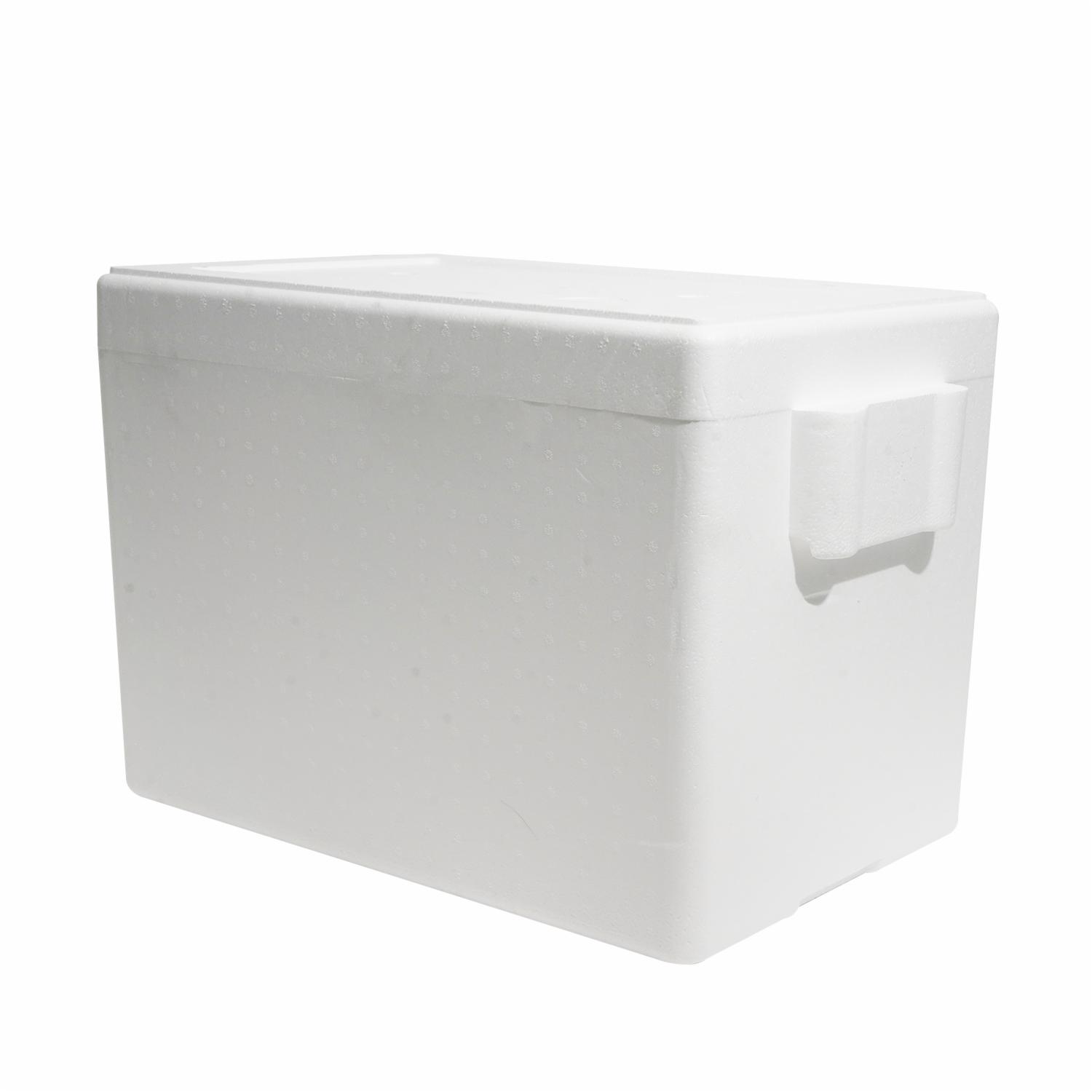 Hielera Térmica Con Agarradera PLASTRO GRANDE - Imagen 3