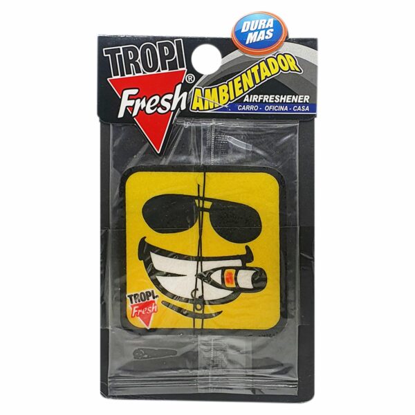 Ambiental Para Auto Con Colgador Diseño Happy Square TROPI FRESH 10 G