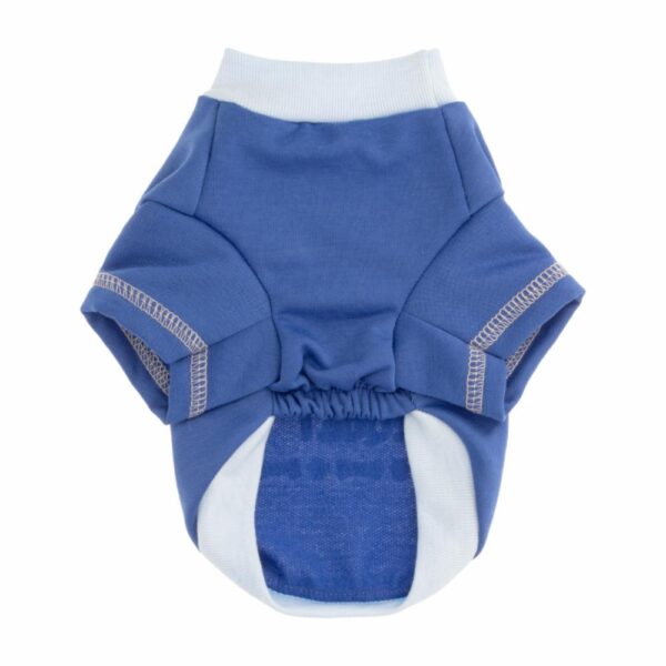 Ropa Para Perros Buzo Lo Que Paso En El Parque THE PET FACTORY Talla Extra Extra Pequeño - Imagen 2