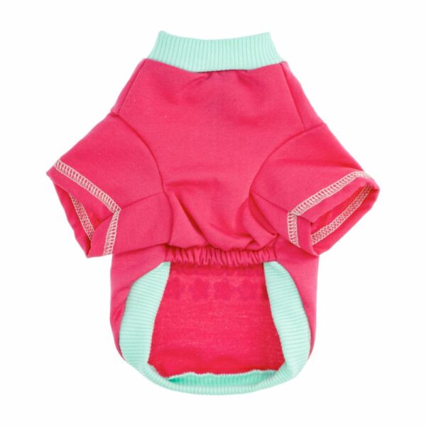 Ropa Para Perros Buzo No Es Tan Fácil Ser Princesa THE PET FACTORY Talla Extra Pequeño - Imagen 2