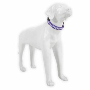 Collar Para Mascota De Nylon THE PET FACTORY Grande