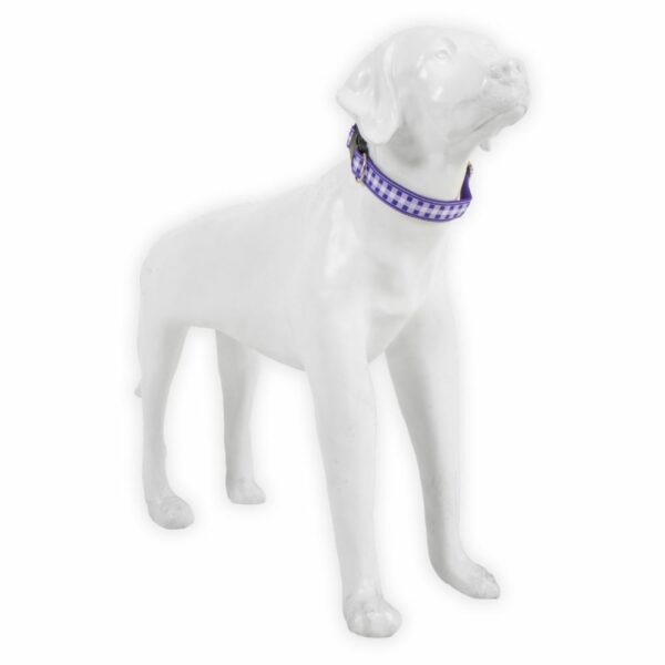 Collar Para Mascota De Nylon THE PET FACTORY Grande