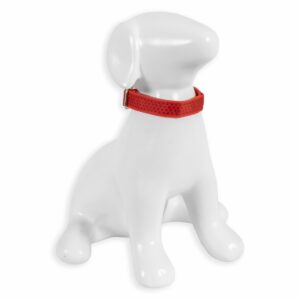 Collar Para Mascota De Nylon THE PET FACTORY Pequeño