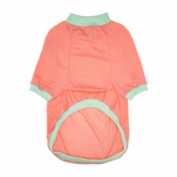 Ropa Para Perros Camiseta Mi Dueño Esta Soltero Hembra THE PET FACTORY Talla Extra Grande - Imagen 2