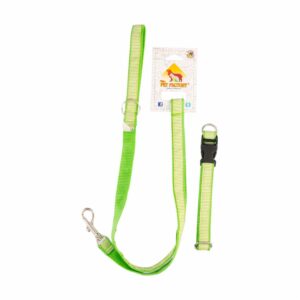 Collar Para Mascota Y Traílla Acolchada THE PET FACTORY Pequeño