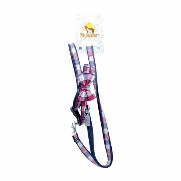 Collar Para Mascota Y Traílla Lasito THE PET FACTORY Talla Extra Pequeño