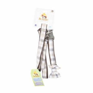 Collar Para Mascota Y Traílla Lasito THE PET FACTORY Medium