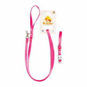 Collar Para Mascota Y Traílla Premium THE PET FACTORY Talla Extra Pequeño