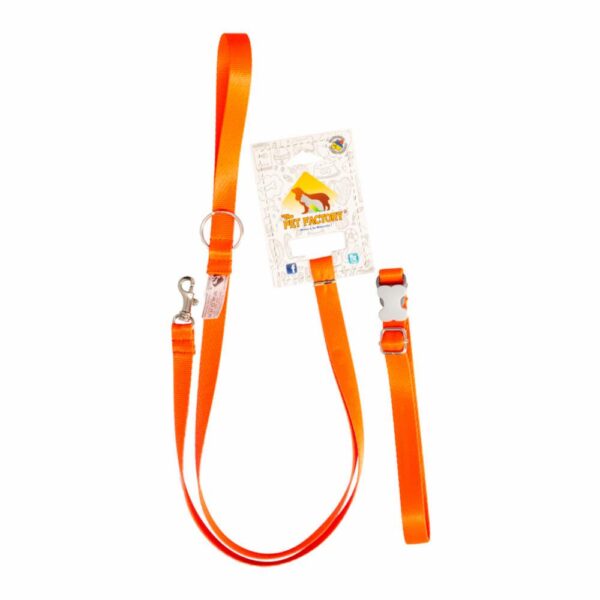 Collar Para Perros Y Traílla Premium THE PET FACTORY Talla Extra Pequeño