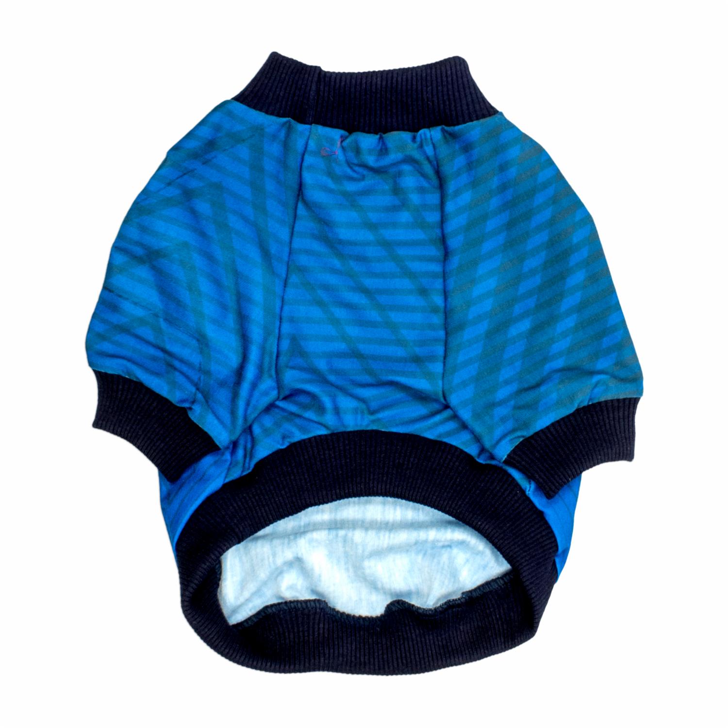 Camiseta Para Mascota Selección Ecuador Azul THE PET FACTORY Talla Extra Extra Pequeña - Imagen 2