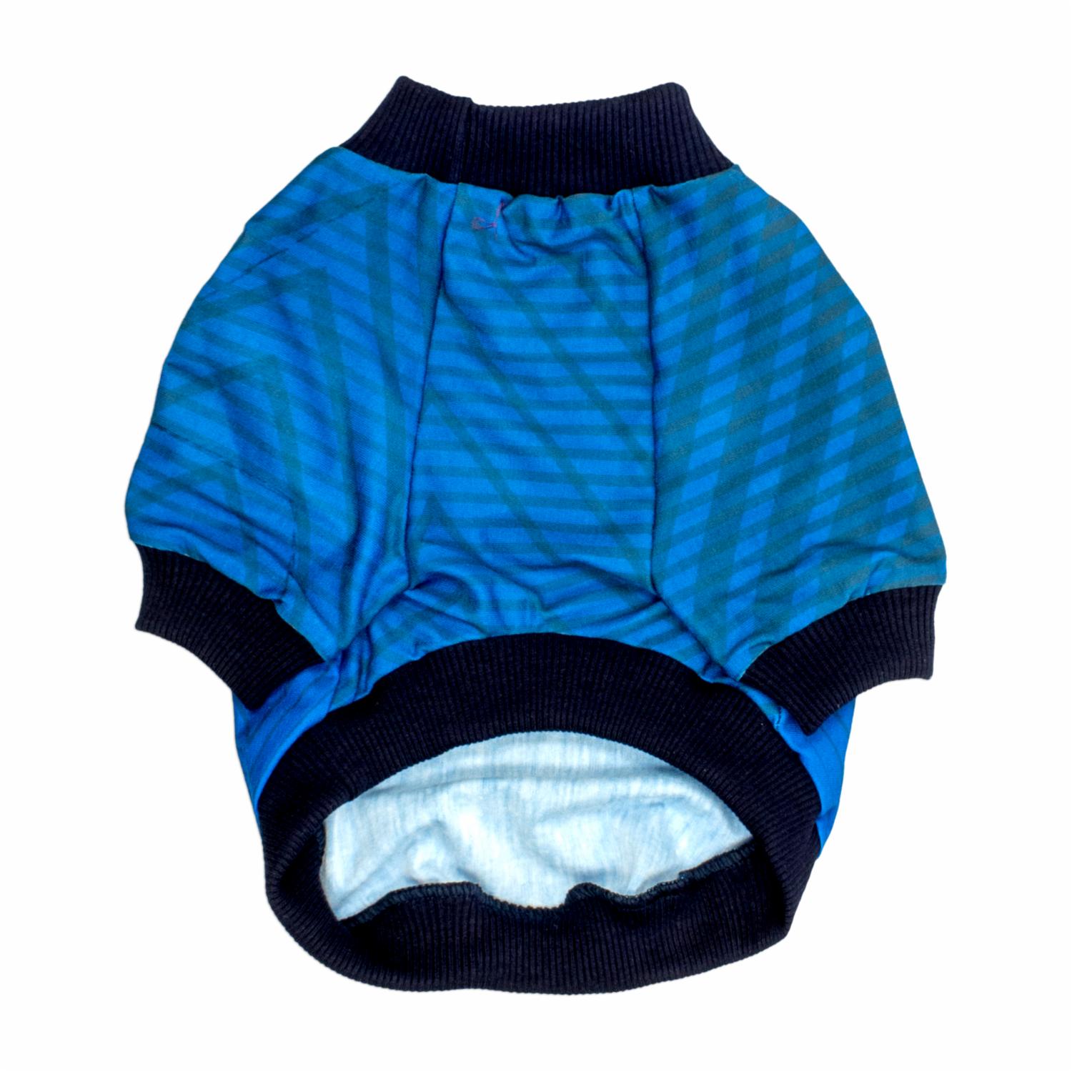 Camiseta Para Mascota Selección Ecuador Azul THE PET FACTORY Talla Mediana - Imagen 2