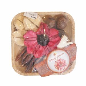 Set Difusor Bandeja Canela BELINDA FLOWERS Surtido