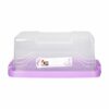 Quesera Plástica Colores Lila Diseño Lavanda Violeta CASA PICA Unidad