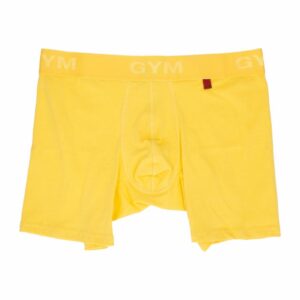 Amarillo De Caballero Para Fin De Año GYM KIDS