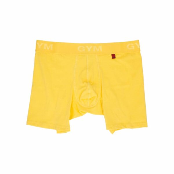Amarillo De Caballero Para Fin De Año GYM KIDS