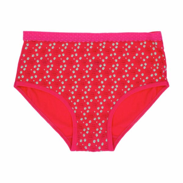 Panties Para Niñas Pack X 3 Uds Fucsia Y Turquesa PEQUEÑITAS - Imagen 3