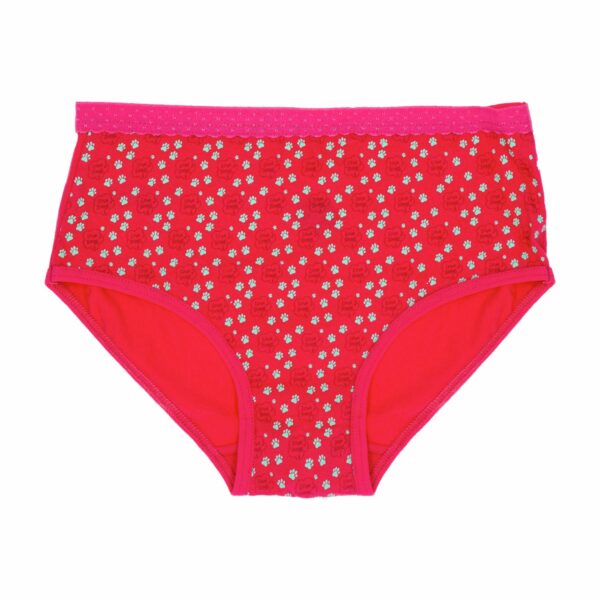 Panties Para Niñas Pack X 3 Uds Fucsia Y Turquesa PEQUEÑITAS - Imagen 3