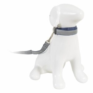 Collar Para Mascota Y Traílla Reflectiva THE PET FACTORY Pequeño