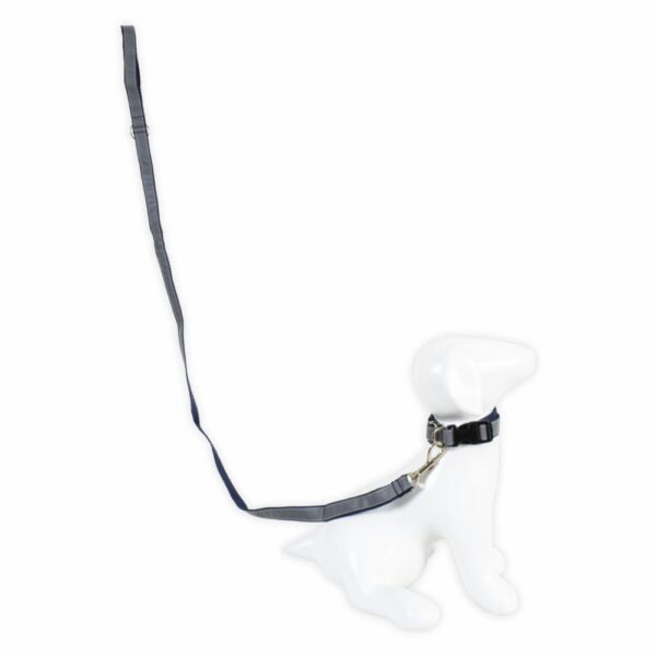 Collar Para Mascota Y Traílla Reflectiva THE PET FACTORY Pequeño - Imagen 2