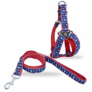 Arnés Para Mascota Y Traílla Diseño De Huellitas THE PET FACTORY Mediano