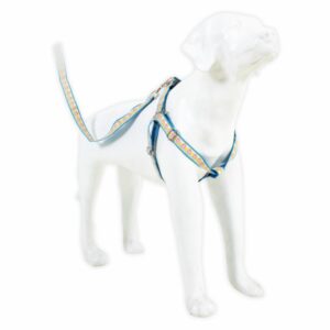 Arnés Para Mascota Y Traílla Diseño De Huellitas THE PET FACTORY Mediano