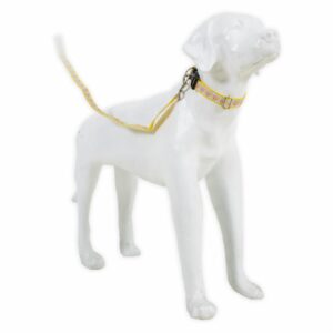 Collar Para Mascota Y Traílla Acolchada THE PET FACTORY Mediano