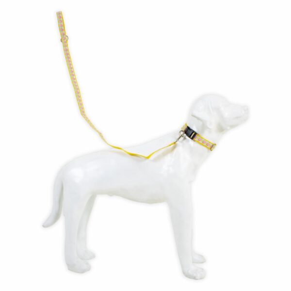 Collar Para Mascota Y Traílla Acolchada THE PET FACTORY Mediano - Imagen 2