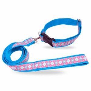 Collar Para Mascota Y Traílla Acolchada THE PET FACTORY Grande