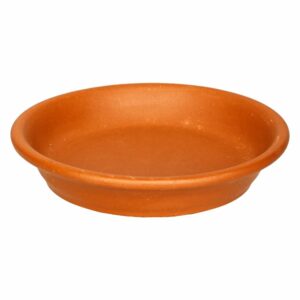 Plato De Estándar 165 Morena Pura MESTIZA Unidad