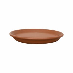 Plato De Estándar 19 Morena Pura MESTIZA Unidad