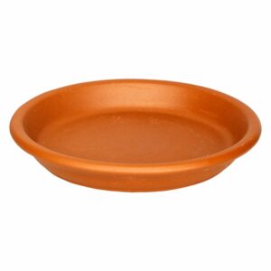 Plato De Estándar 19 Morena Pura MESTIZA Unidad